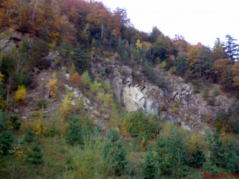 36460.jpg