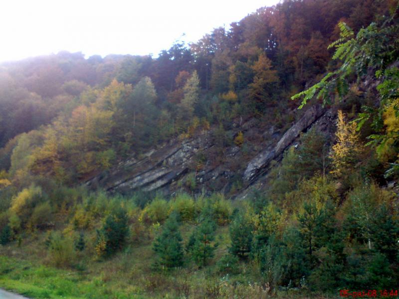 36464.jpg