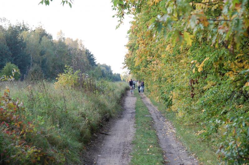 las, antoniów