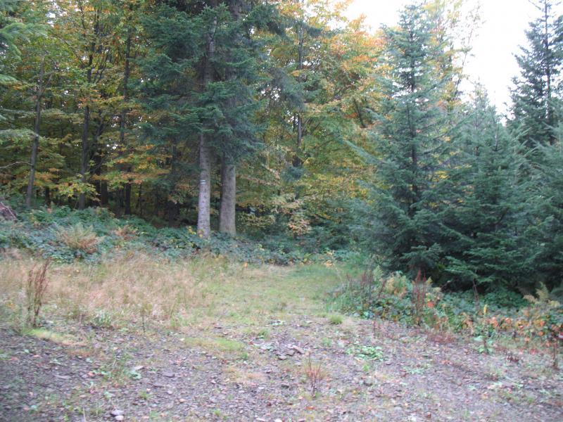 36564.jpg