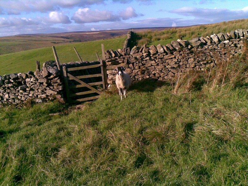 yorkshire dales, yorkshire, england