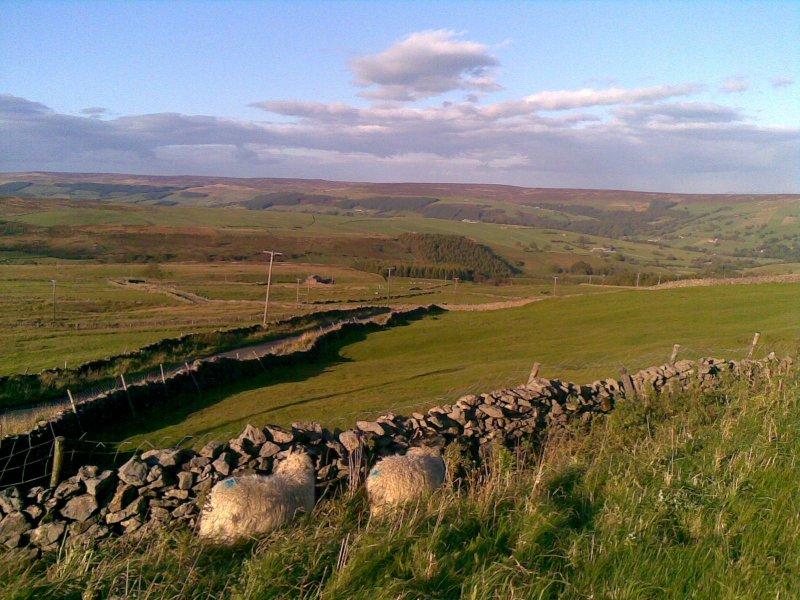 yorkshire dales, yorkshire, england