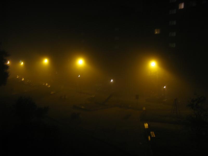 36714.jpg