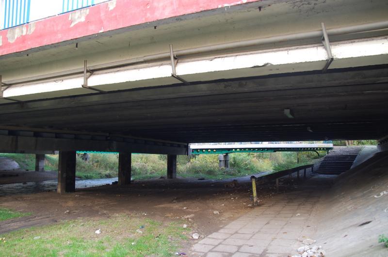 sosnowiec, bór, biała przemsza