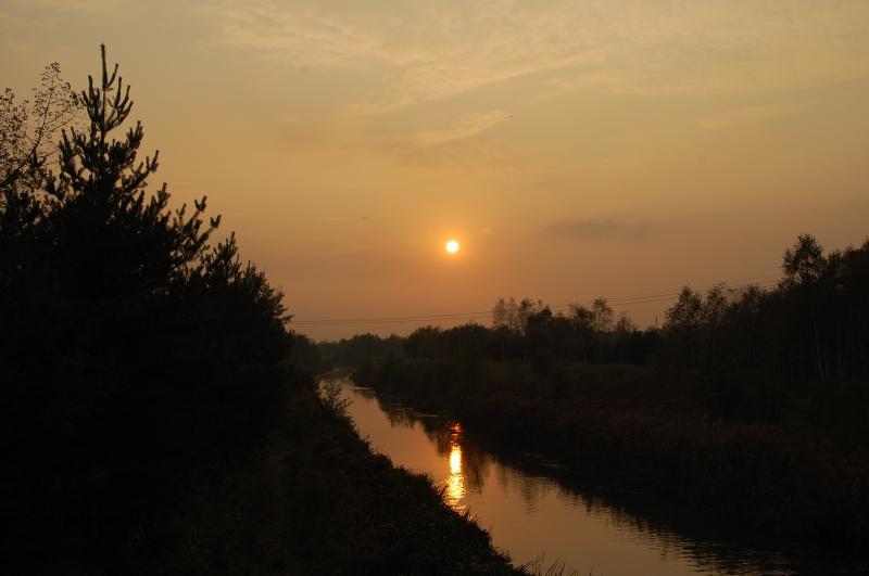 sosnowiec, bór, biała przemsza