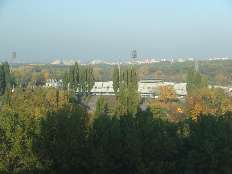 36821.jpg
