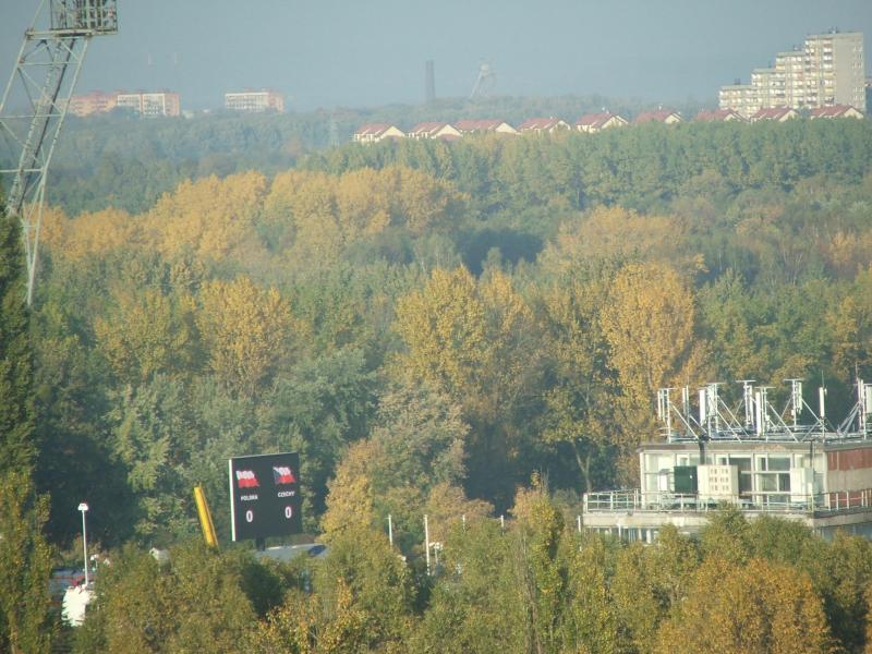 36824.jpg