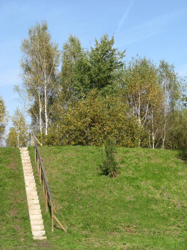 36857.jpg