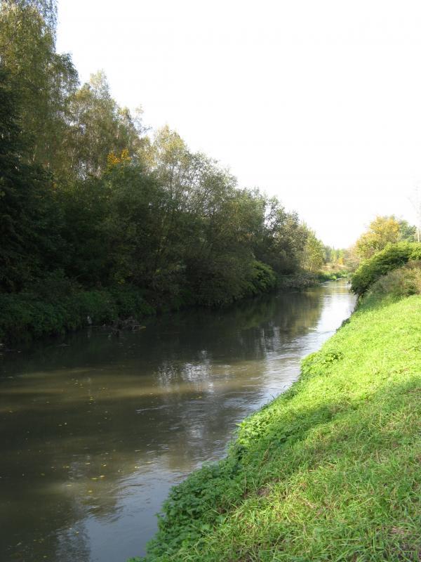 36859.jpg