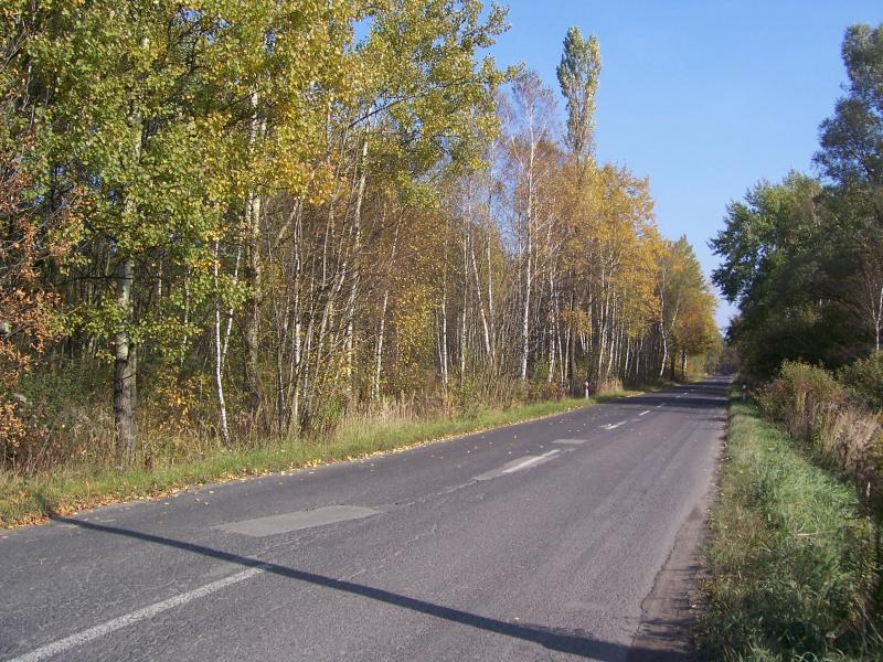 36941.jpg