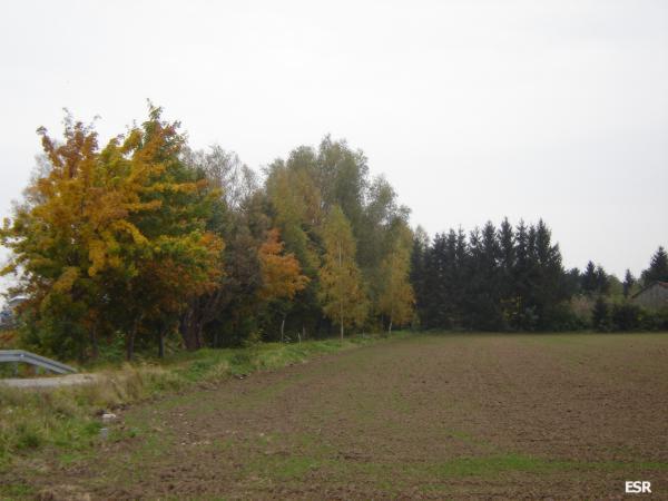 36961.jpg