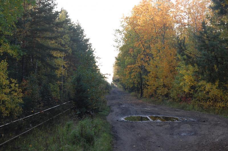 dąbrowa górnicza, pogoria 1