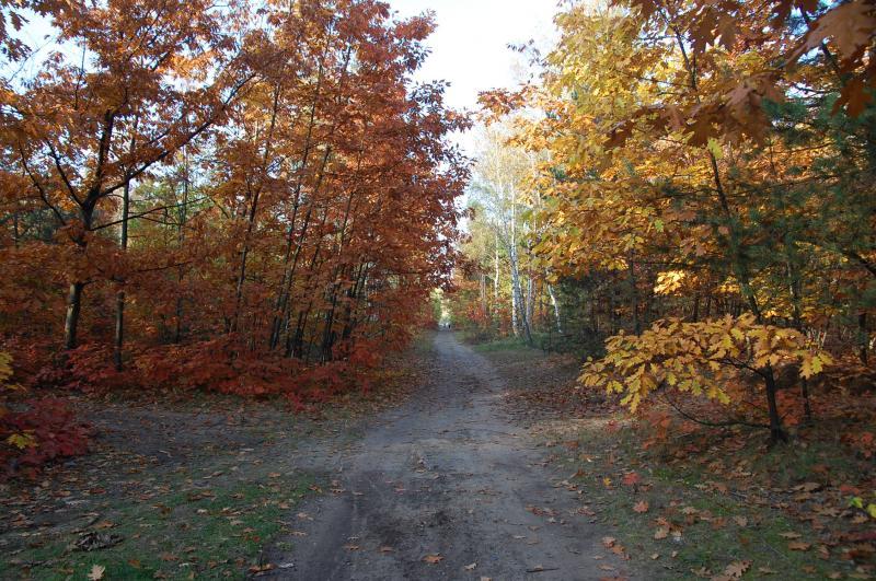 dąbrowa górnicza, pogoria 1