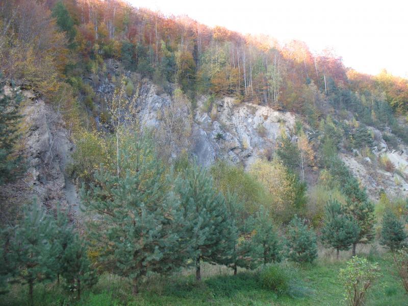 37039.jpg