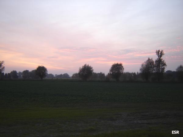 37048.jpg