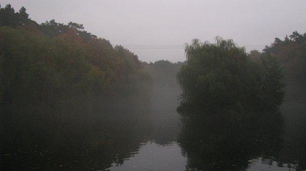 szczecin, mgła, uroczysko