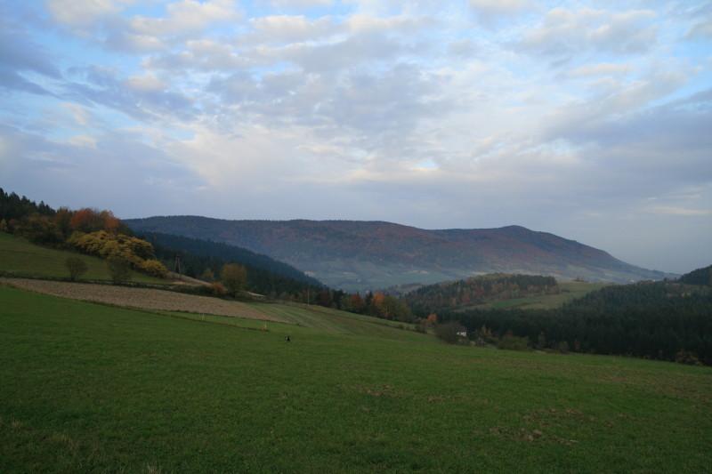 37142.jpg