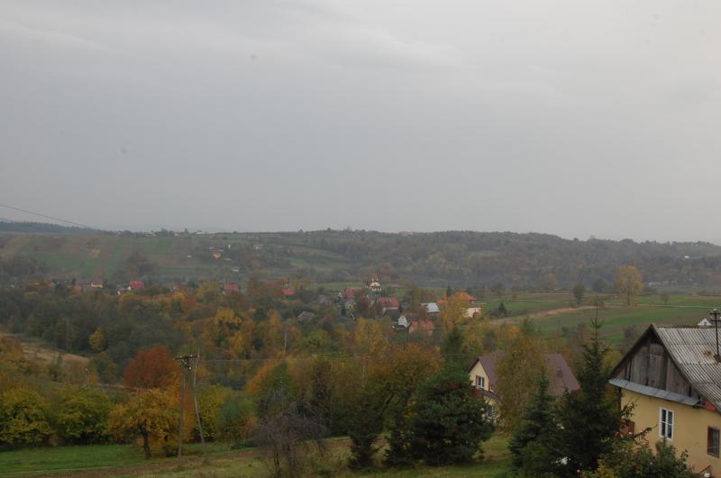 jaworsko