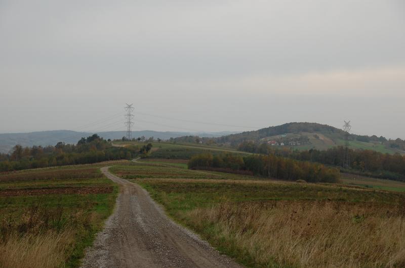 jaworsko