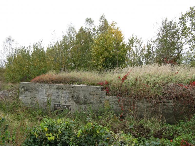 37184.jpg