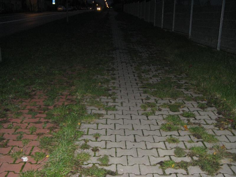 37185.jpg