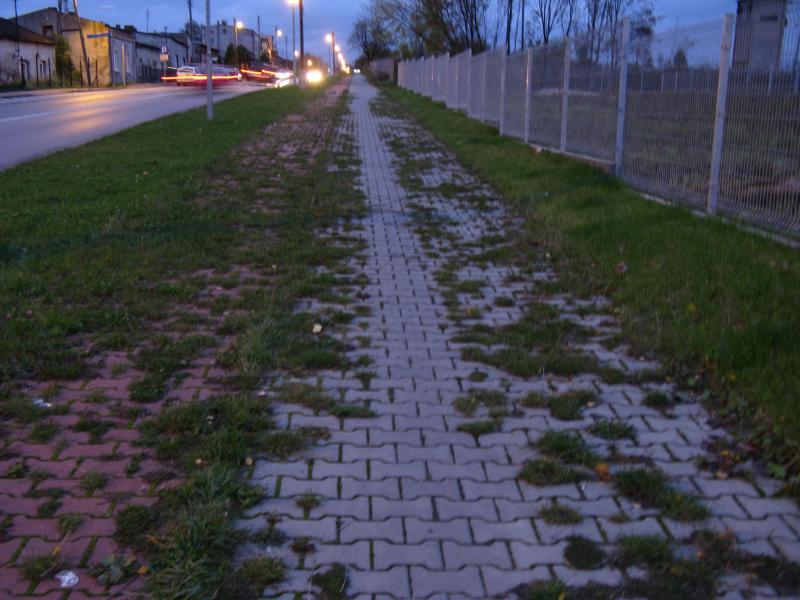 37186.jpg