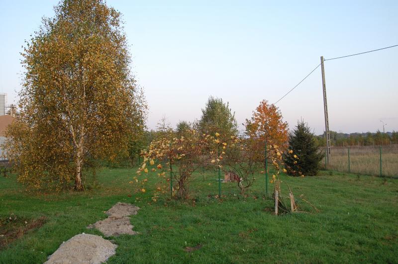 działka