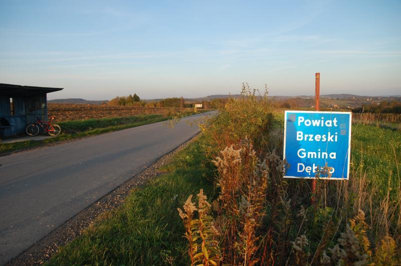 łoniowa