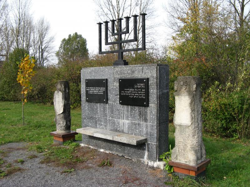 37315.jpg