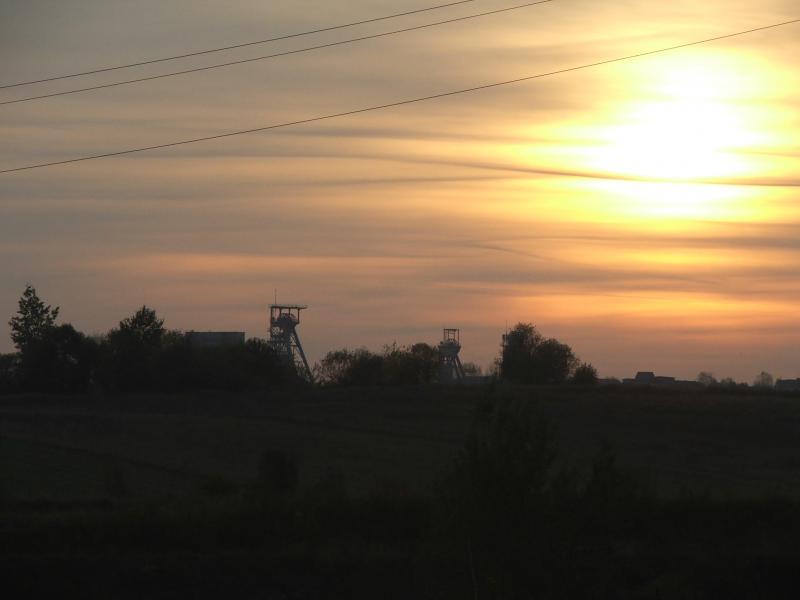 37355.jpg
