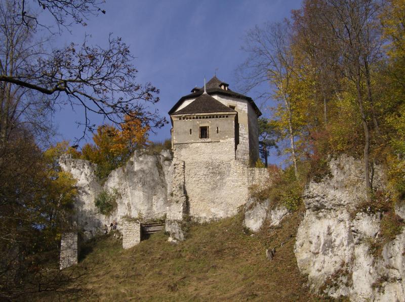 37433.jpg
