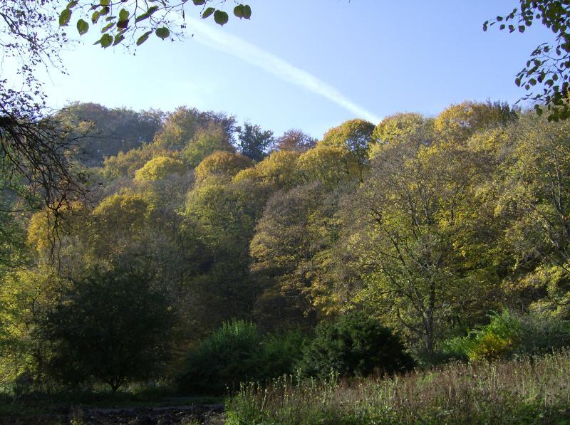 37440.jpg