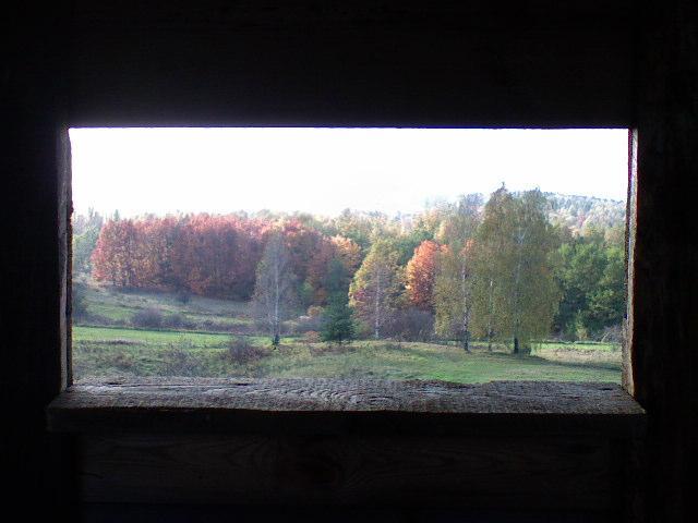 37444.jpg