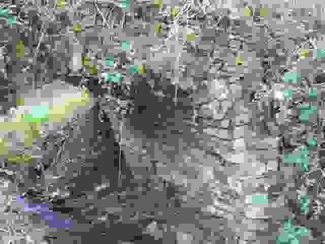 37720.jpg