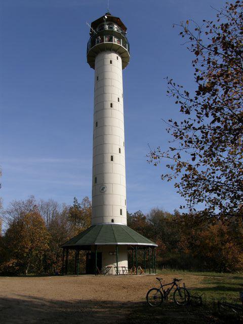 37753.jpg