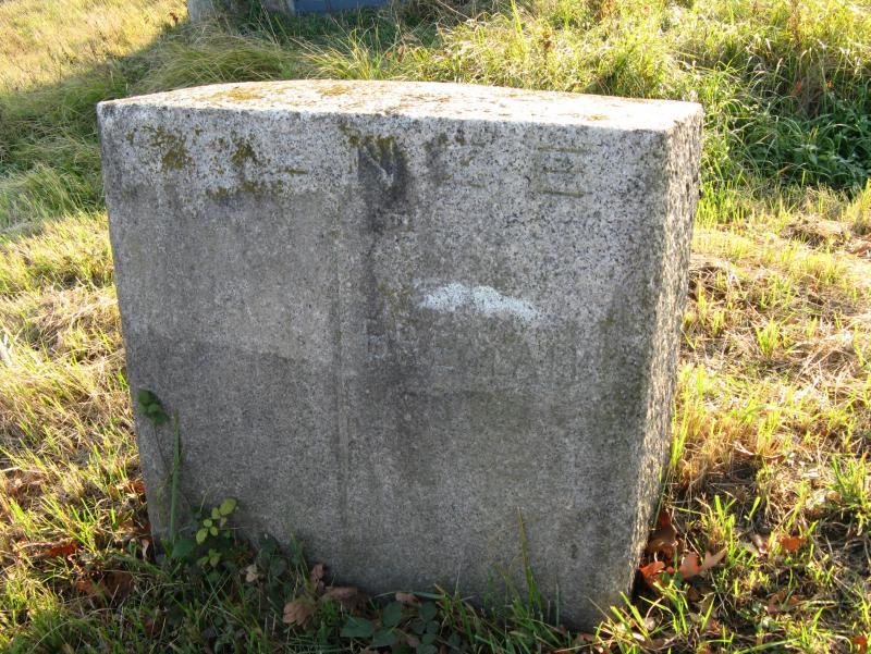 37822.jpg