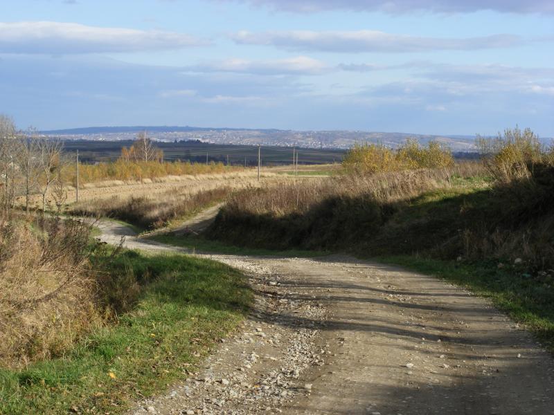 37994.jpg