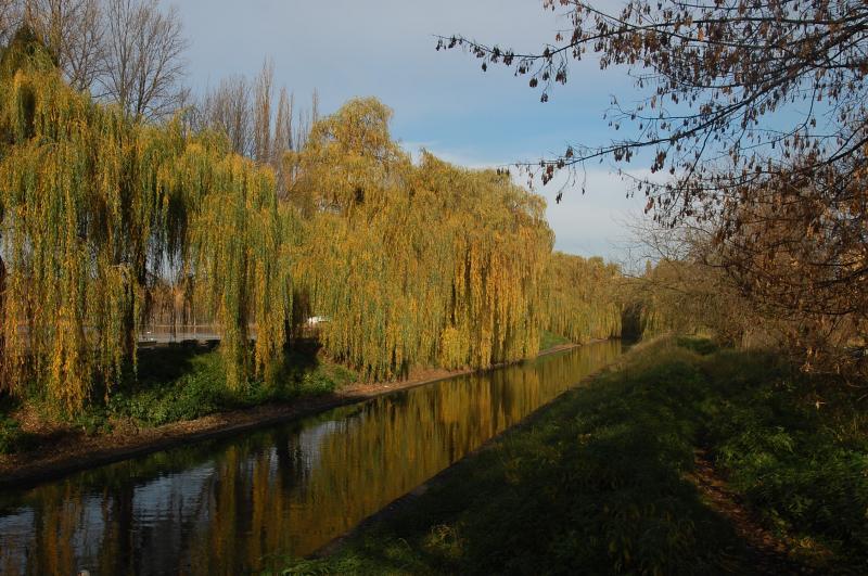 sosnowiec, stawiki, rzeka brynica