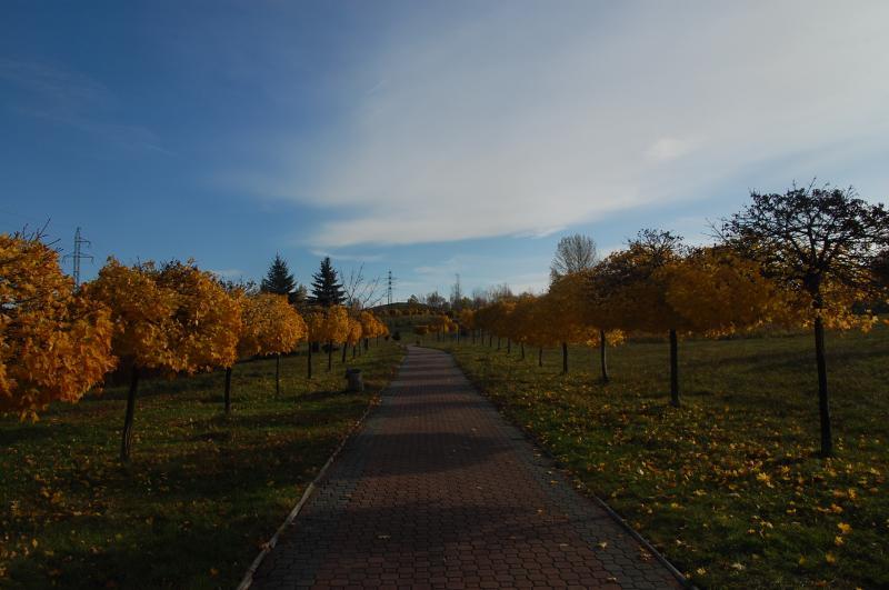 Sosnowiec - Park środula