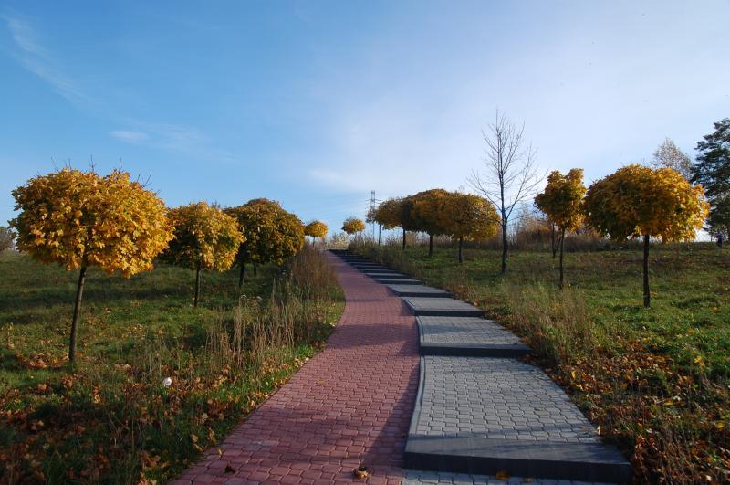 Sosnowiec - Park środula