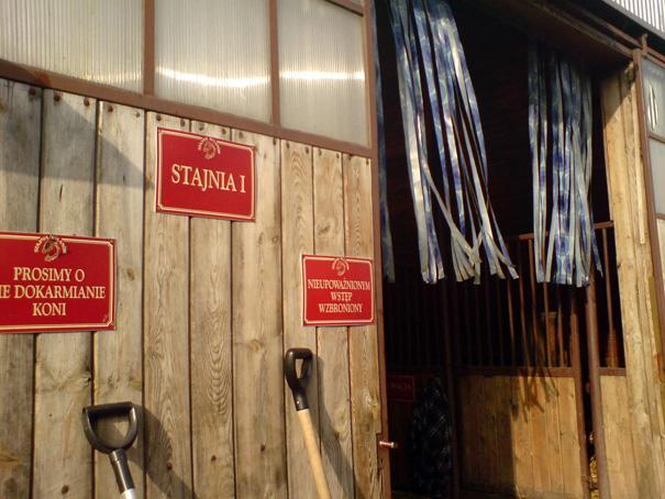 stajnia