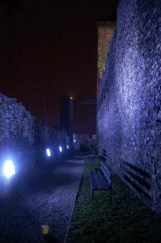 zamek, będzin