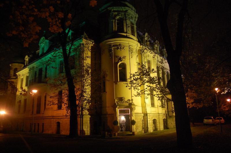sosnowiec, pałac schoenów