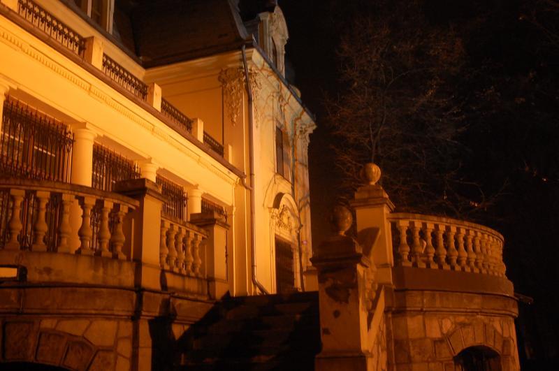 sosnowiec, pałac schoena