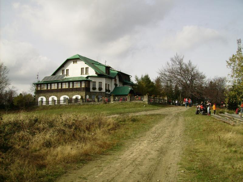 38424.jpg