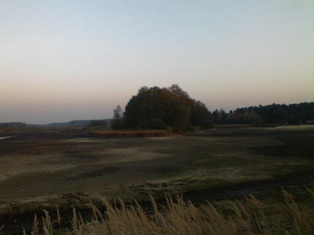 38431.jpg