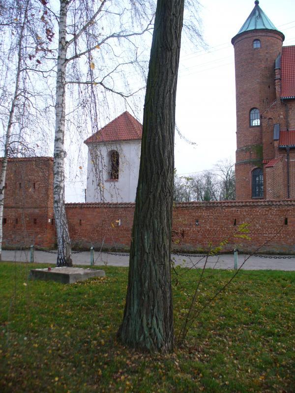 38455.jpg