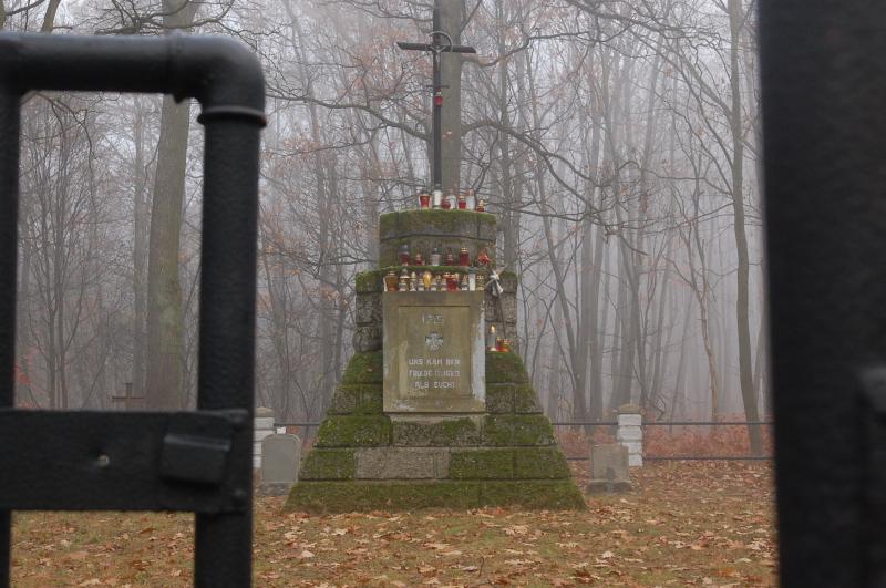 cmentarz, las, sterkowiec