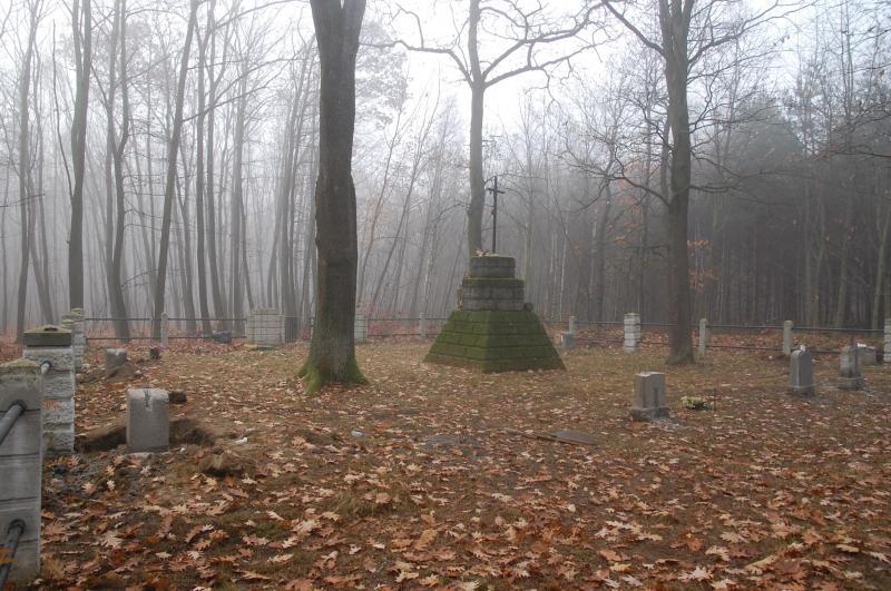 cmentarz, las, sterkowiec