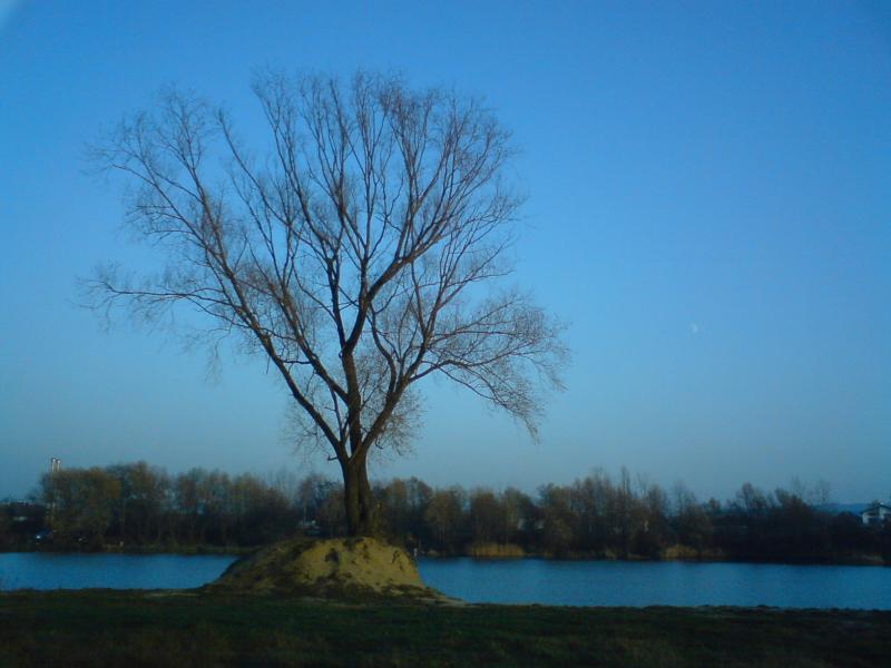 38494.jpg